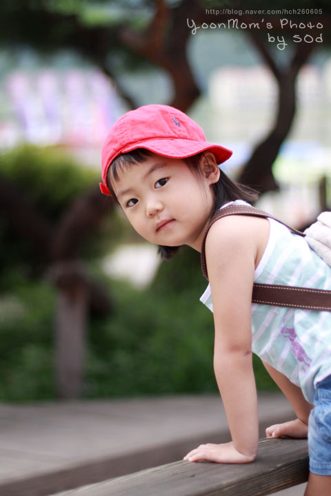 아이와 남이섬 다녀왔어요.