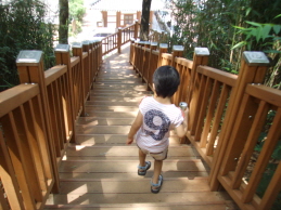 두아이와 함께한 전주 한옥마을 체험..