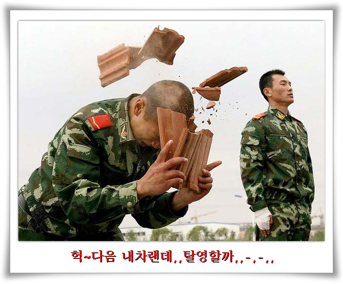 쎄시 이미지
