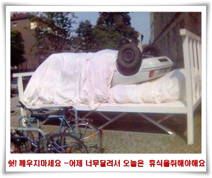 쎄시 이미지