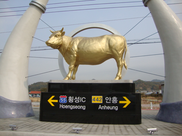 횡성 한우마을