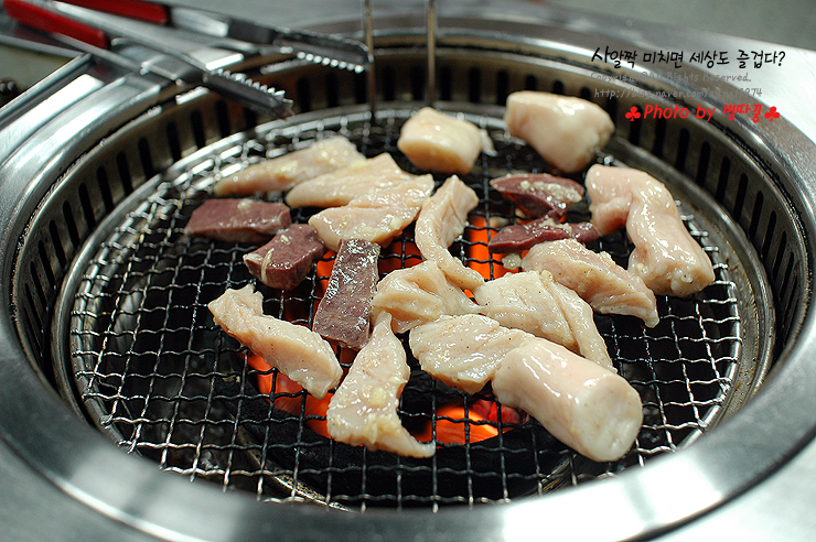 [부산맛집/자갈치] 대광양곱창