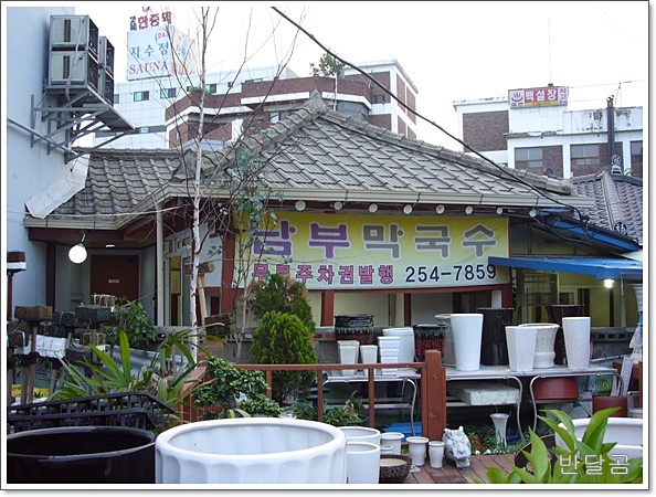 두메막국수 이미지