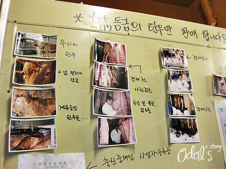 참조은 한우 이미지