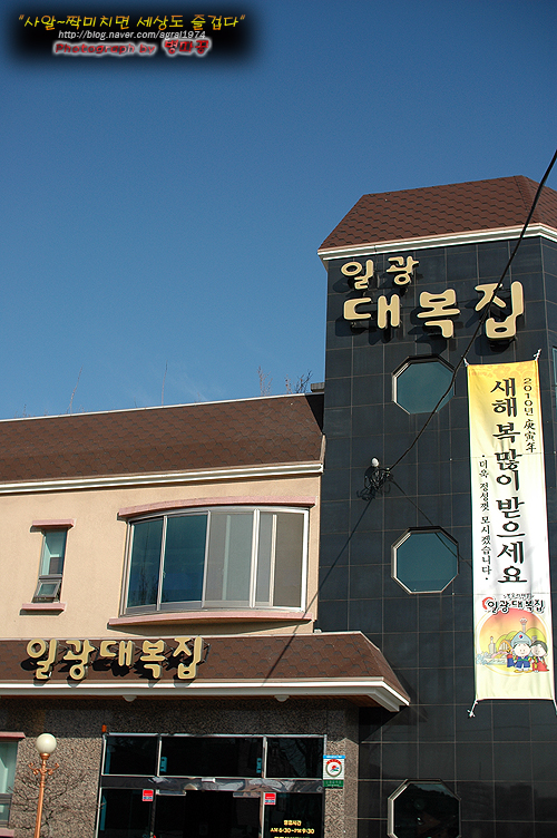 [기장맛집/일광] 복국집 일광대복집