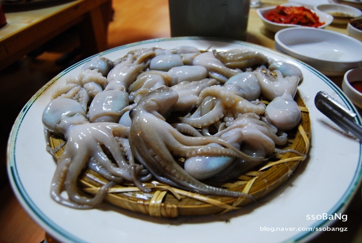 [부산맛집/좌천동] 쭈꾸미 샤브샤브.. 소문난초량할매집