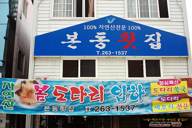 [부산맛집/다대동] 물회가 괜찮았던 본동횟집