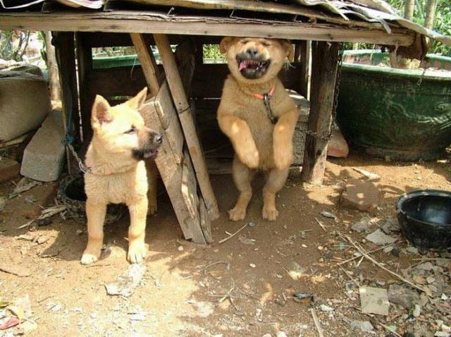 마시와 이미지