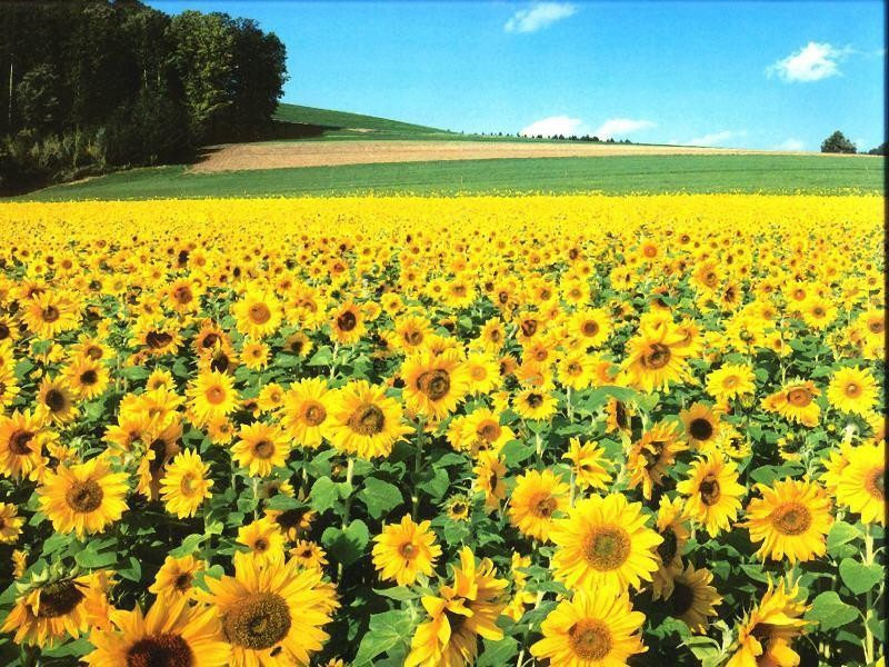김*만 이미지